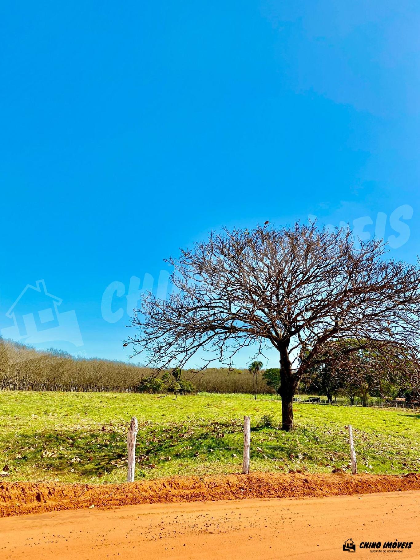 Chacarás para Venda