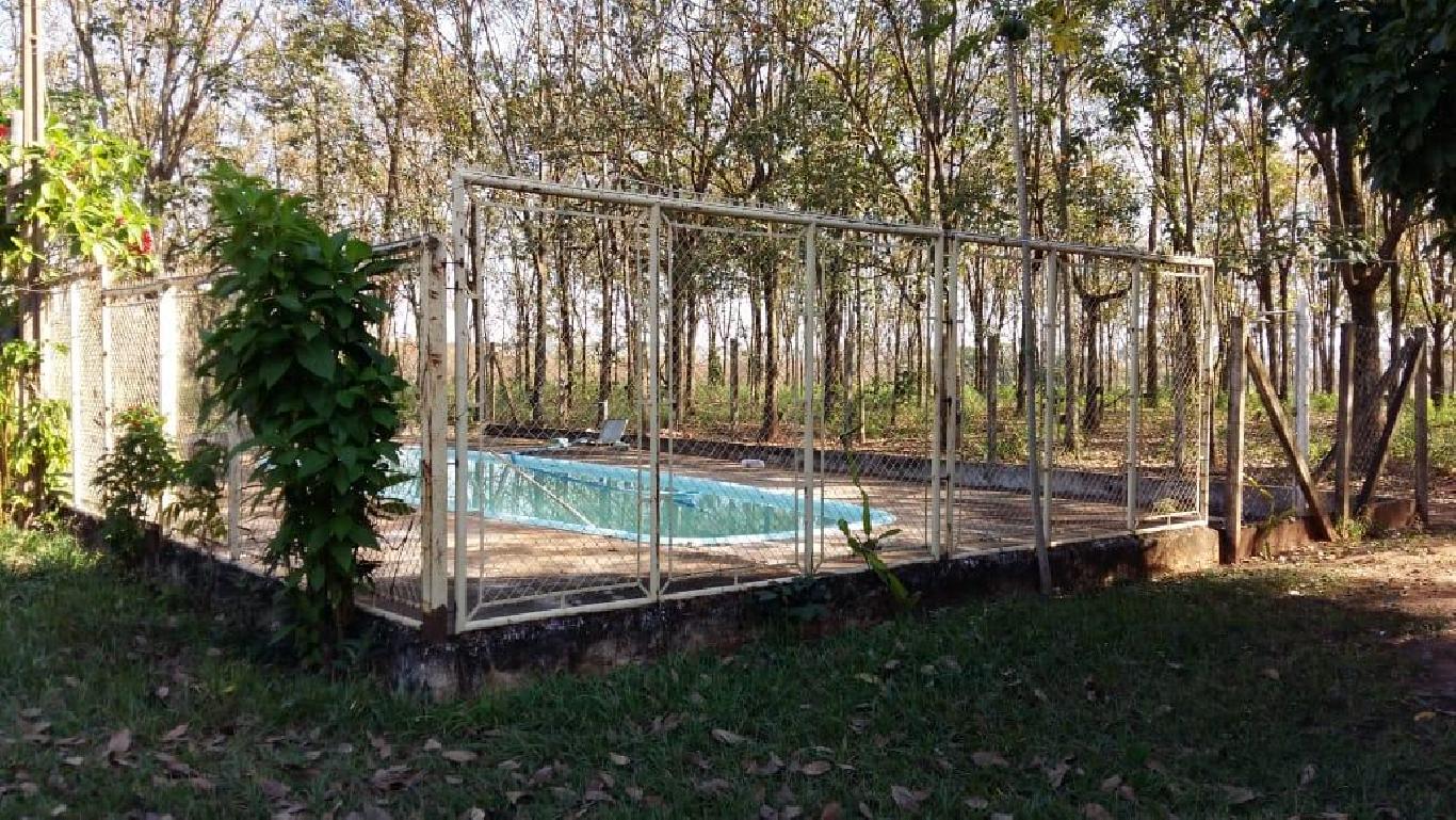 Sítio com 5 alqueires sendo 3 mil pés de seringueira 