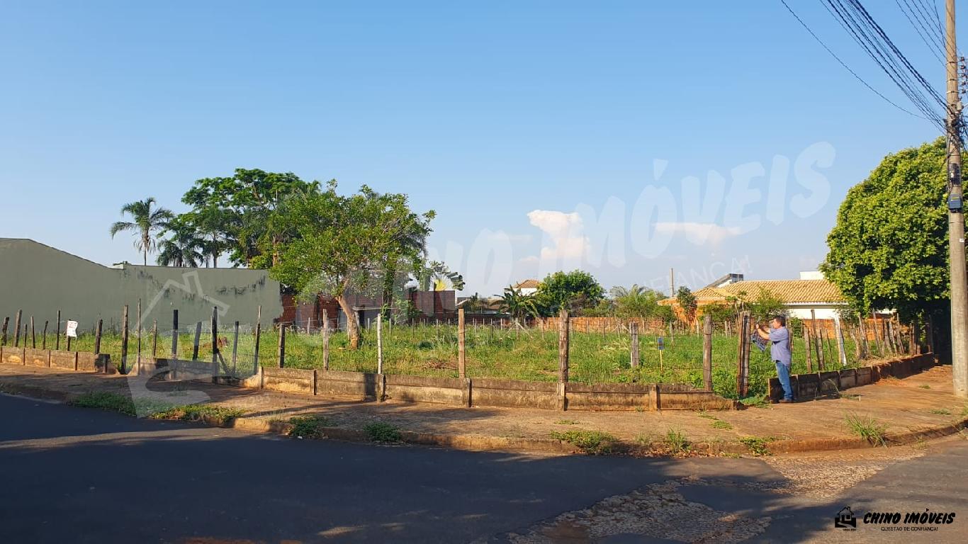 Terreno com excelente topografia