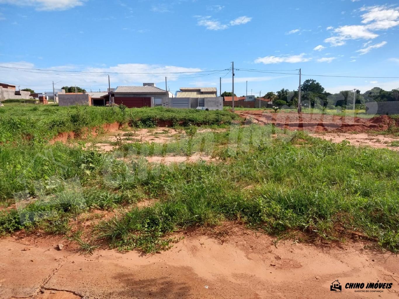 Terreno com excelente topografia